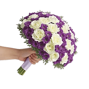 Pastel Pink Roses