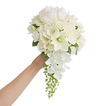 Delicate Petal Cascade