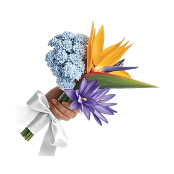 Elegant Blue Roses