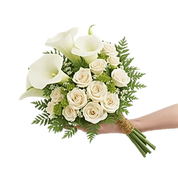 Ivory Garden Grace