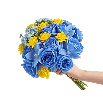 Blossom Petal Serenity