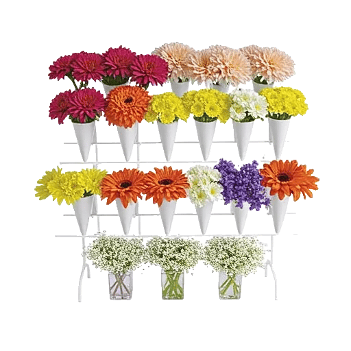 Graceful Lily Display