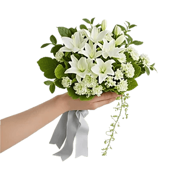 Ivory Blossom Radiance