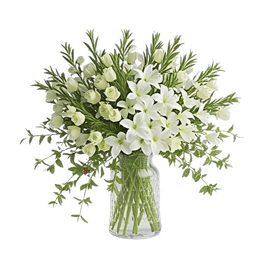 Ivory Blossom Radiance