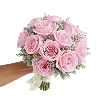 Pastel Pink Roses