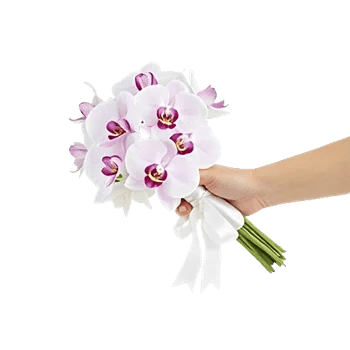 Modern White Orchids