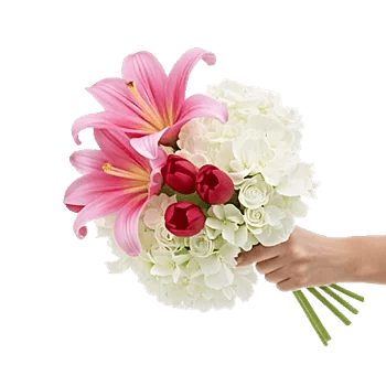 Blossom Harmony Display