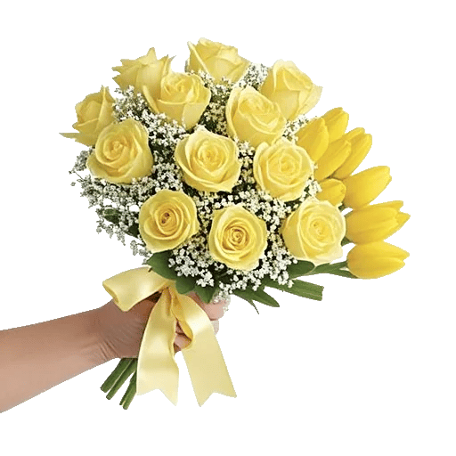 Blossom Harmony Display