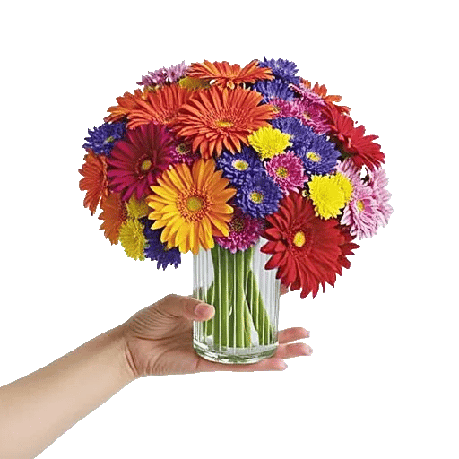 Petal Radiance Bliss
