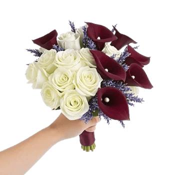 Elegant Calla Lilies