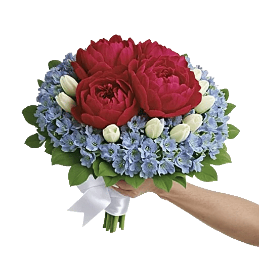 Petal Radiance Bliss
