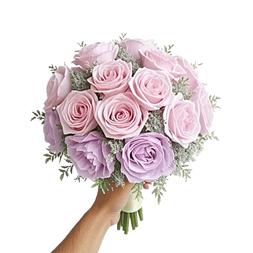 Pastel Pink Roses