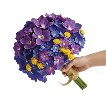 Sapphire Bloom Whisper