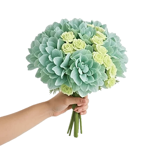 Serene Petal Harmony