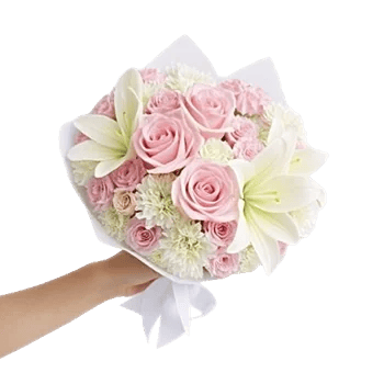Pastel Pink Roses