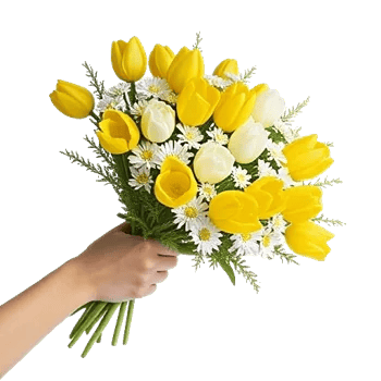 Blossom Harmony Display