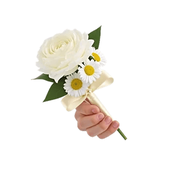 Delicate Petal Cascade