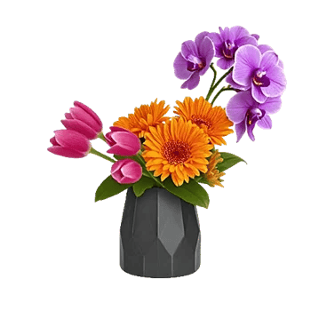 Velvet Tulip Display