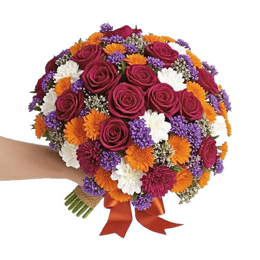 Blushing Rose Symphony