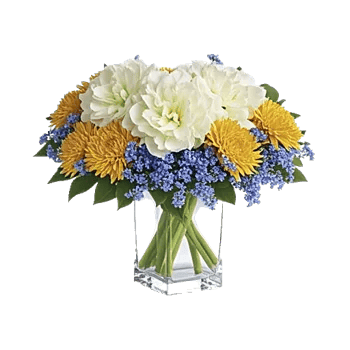 Delicate Petal Cascade