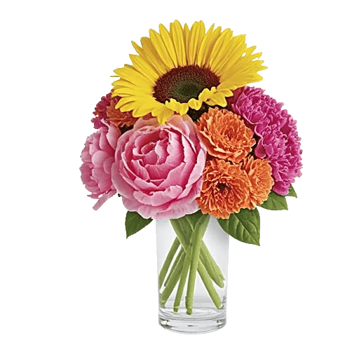 Petal Radiance Bliss
