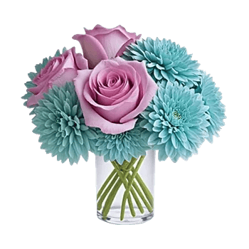 Pink Pastel Roses
