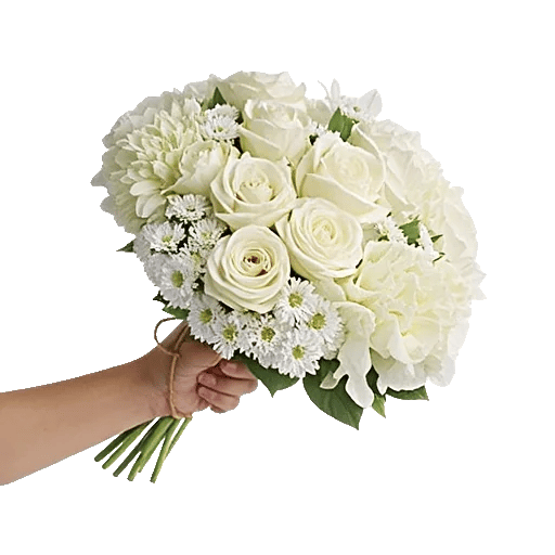Petal Grace Harmony