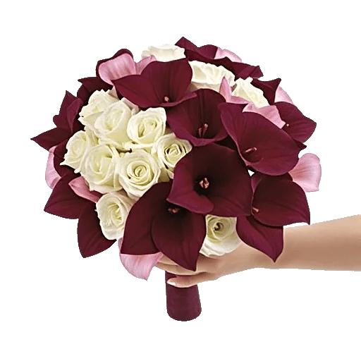 Blushing Rose Symphony