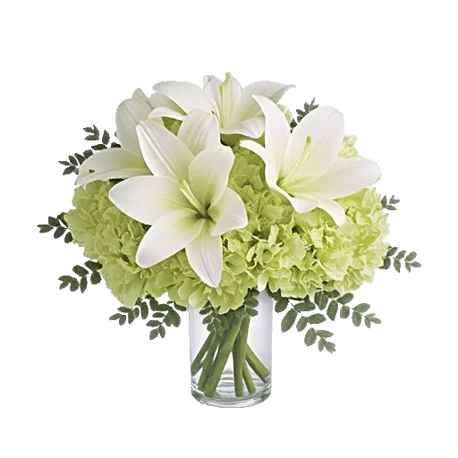 Graceful Lily Display