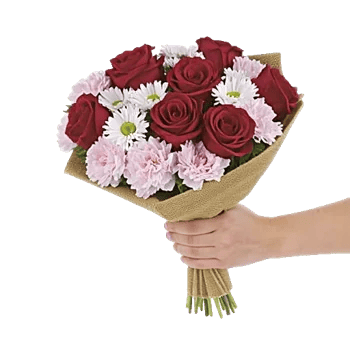 Crimson Rose Elegance