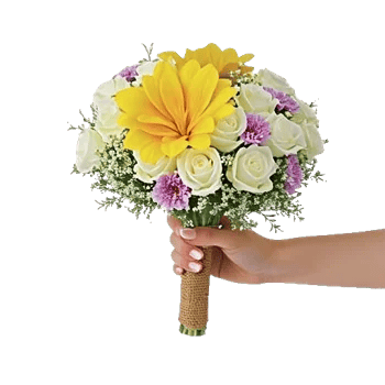 Ivory Garden Grace
