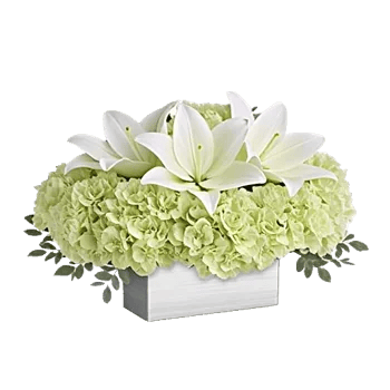 Graceful Lily Display