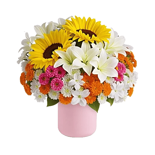 Petal Radiance Bliss