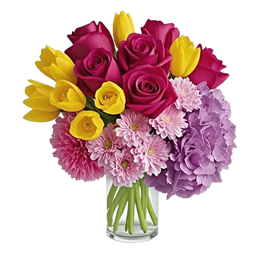 Velvet Tulip Display