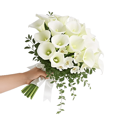 Elegant Calla Lilies