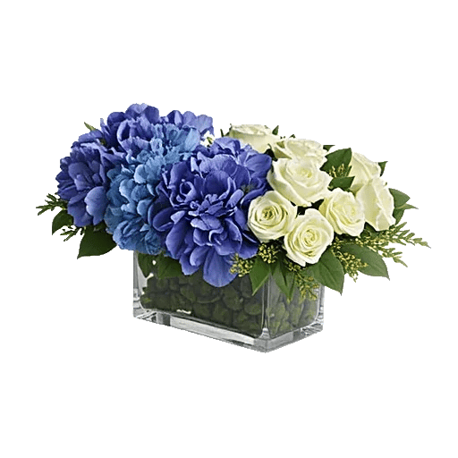 Sapphire Bloom Whisper