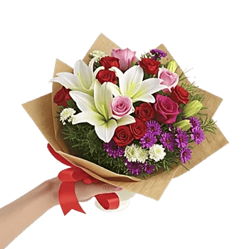 Blushing Rose Symphony