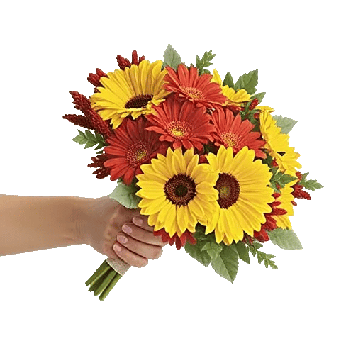 Golden Petal Harmony