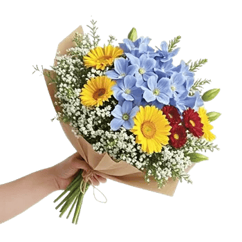 Blossom Petal Serenity