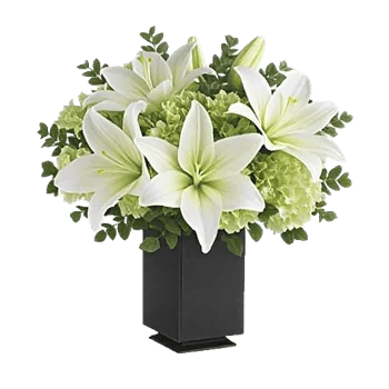 Ivory Blossom Radiance