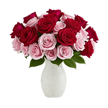 Crimson Rose Elegance
