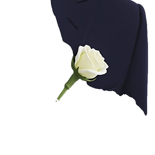 Rosemary Bloom Elegance