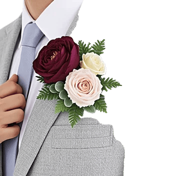 Plum Blossom Radiance