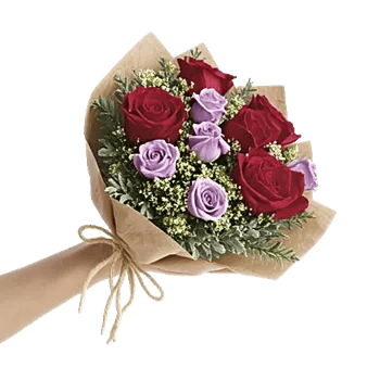 Crimson Rose Elegance