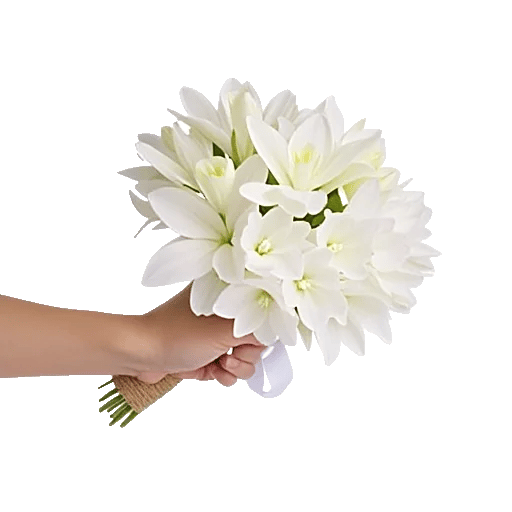 Modern White Orchids