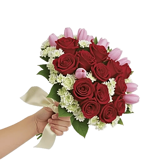 Crimson Rose Elegance