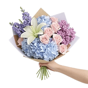 Serene Petal Harmony