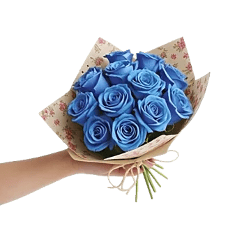 Blushing Rose Symphony