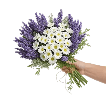 Ivory Garden Grace