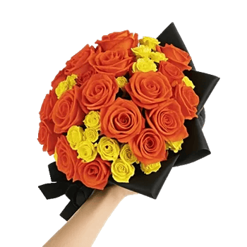 Golden Rose Radiance